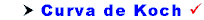 Curva de Koch